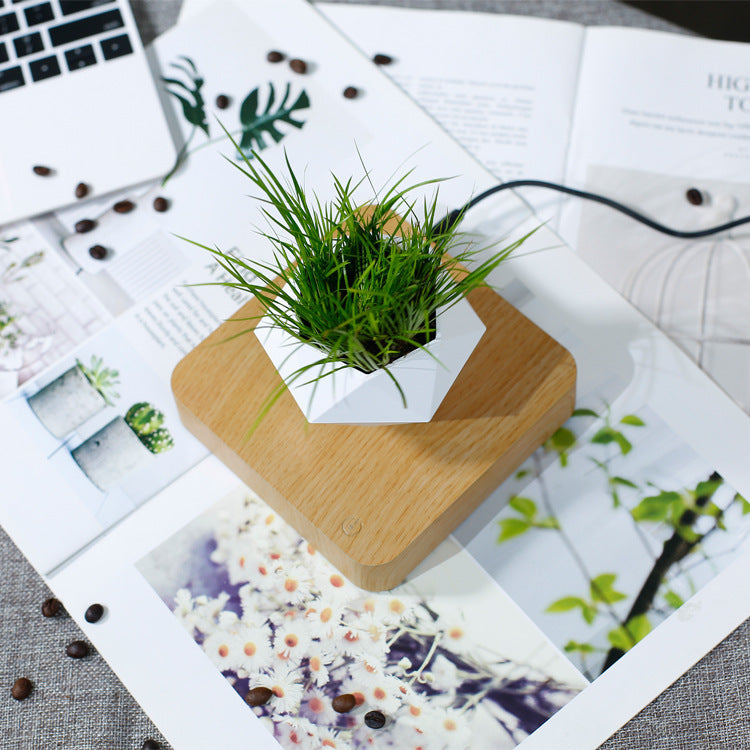 Magnetic Levitation Flower Pot – Floating Planter with Wood Grain Base
