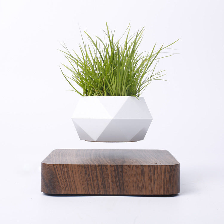 Magnetic Levitation Flower Pot – Floating Planter with Wood Grain Base