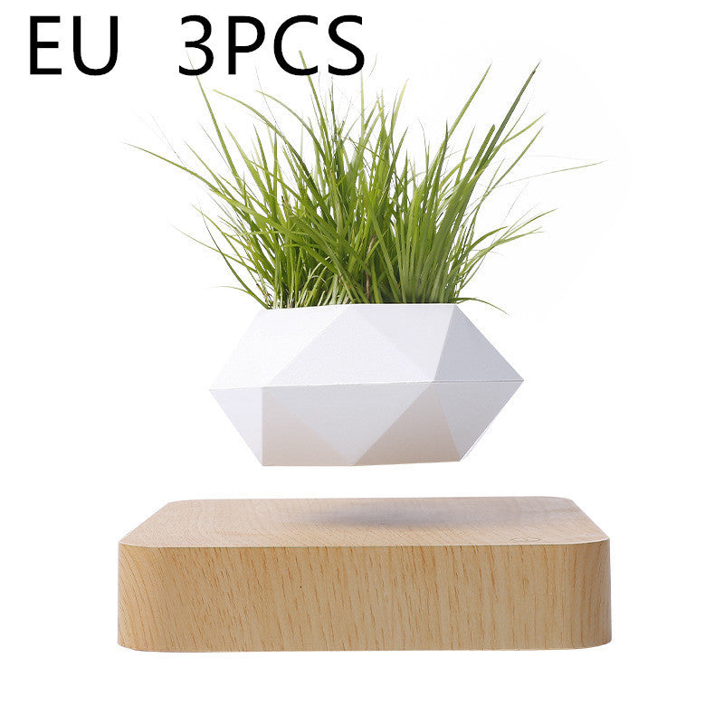 Magnetic Levitation Flower Pot – Floating Planter with Wood Grain Base