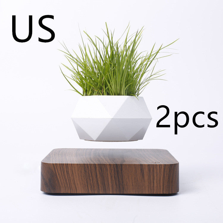 Magnetic Levitation Flower Pot – Floating Planter with Wood Grain Base