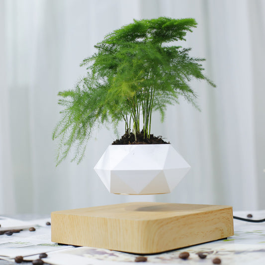 Magnetic Levitation Flower Pot – Floating Planter with Wood Grain Base