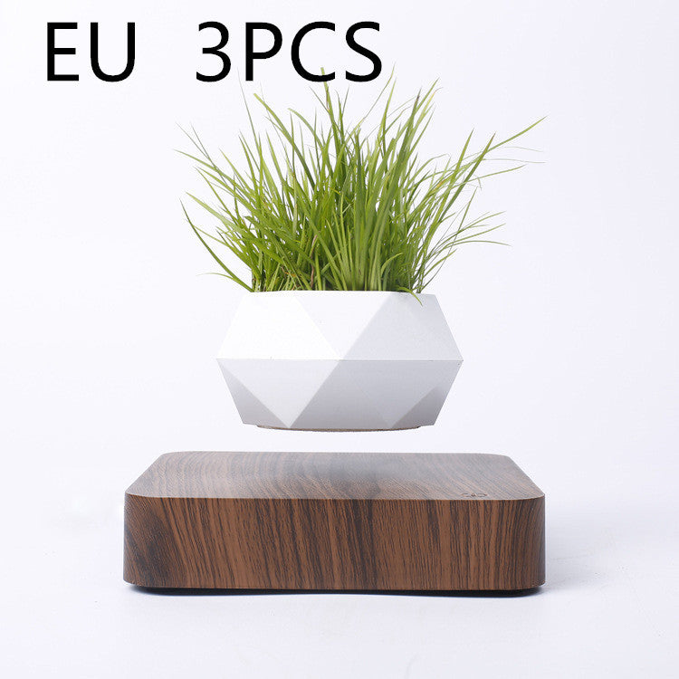 Magnetic Levitation Flower Pot – Floating Planter with Wood Grain Base