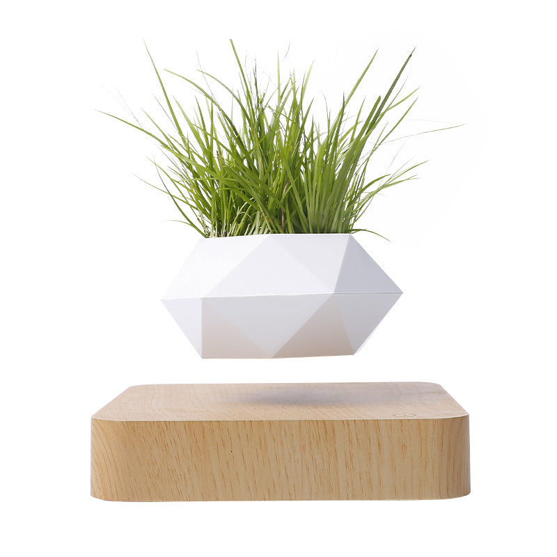 Magnetic Levitation Flower Pot – Floating Planter with Wood Grain Base